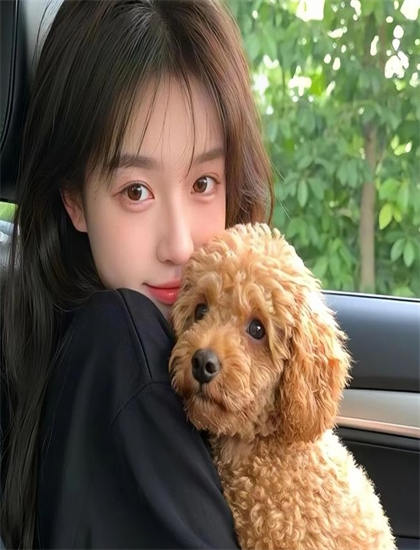 双龙记之和平契约在线观看_你微笑时很美电视剧免费观看_嫣语赋电视剧免费观看影视大全